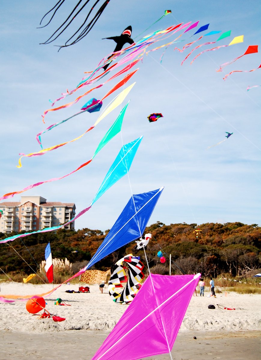 ThatCameraShow's tweet image. 