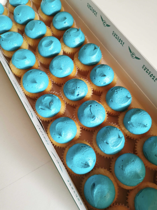 Mon4Kooyong's tweet photo. 450 registrations
200 corflutes
500 t-shirts
…dozens of democracy cupcakes!

I can't wait to meet you all at my campaign launch tomorrow! 
#Mon4Kooyong  #KooyongVotes https://t.co/yHCDh2bYQg