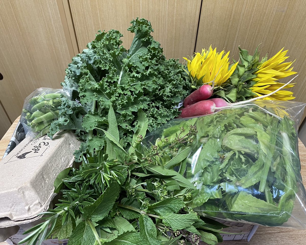 Leanne Nixon tweet media