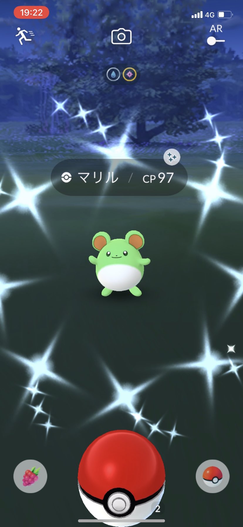 アメツバメ222 12月4日 マリル色違いgetー ポケモンgo 色違いマリル T Co Tsl5emn5aw Twitter