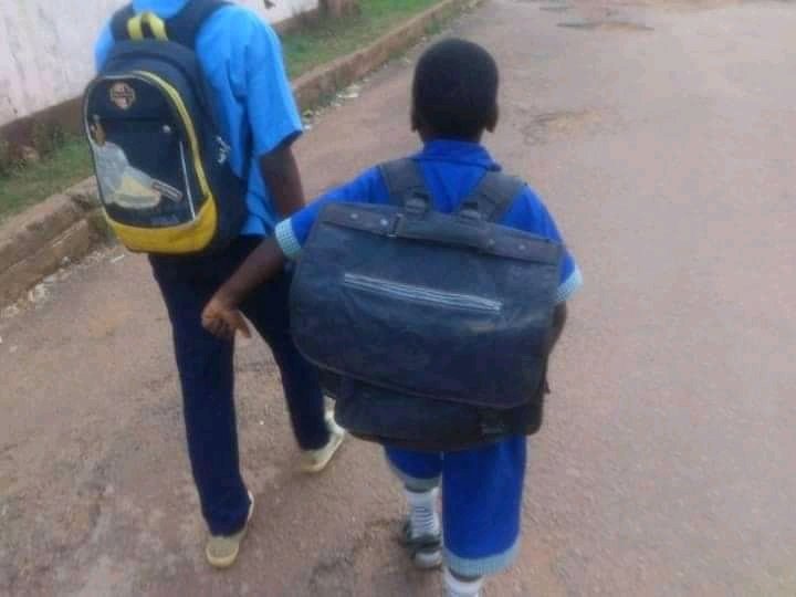 ButtiJab's tweet photo. Les élèves des écoles primaires on peut déménager tout un maison avec leur sac. Y a t il pas de armoire dans les écoles ? https://t.co/haBrFWq0cY