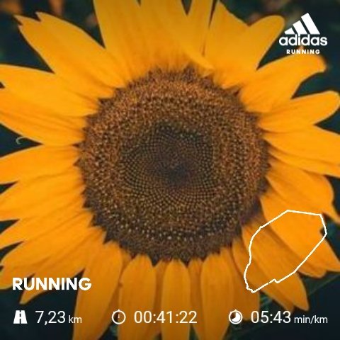 Mat_Mokgotla's tweet photo. Its been a great week indeed. Thank you Runners for all your kindness. The world is still a better place with you guys in it. โฅ๏ธ
#RunningWithTumiSole
#FetchYourBody2021
#FinishStrong
#NeverSkipAFriday ๐คธ๐พโโ๏ธ๐คธ๐พโโ๏ธ๐คธ๐พโโ๏ธ https://t.co/40PY4lhuHo