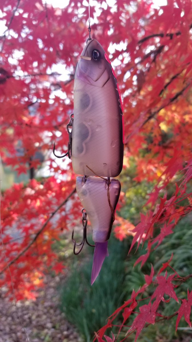 タイニーパトロールと紅葉🍁

異常なし👮‍♂️