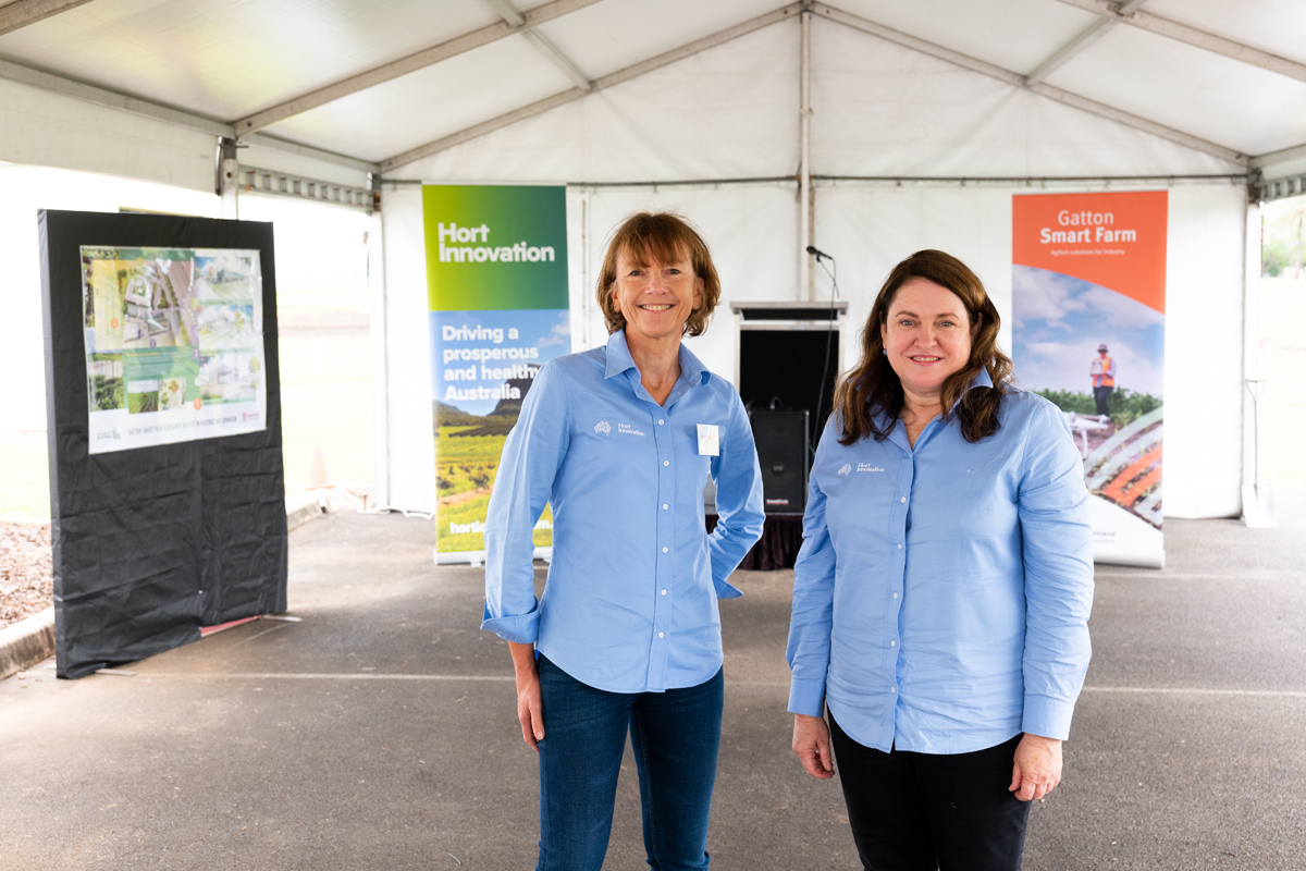 Hort_Au's tweet photo. Meet extension team members Olive and Jane. They work with industry development officers, peak bodies, growers, the #VegNET team and others to support and amplify the delivery of R&amp;D outcomes on farms around the country. Learn more here: https://t.co/XQPf4mDWz1 @AUSVEG @growcom https://t.co/ORhHbOFygy
