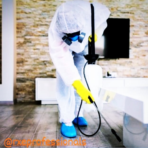 rXeProfessional's tweet photo. Finding cockroaches in your home or business can be very stressing.  Seek professional help to stop the spread of infestation. Our technicians are knowledgeable and are Cockroach Control Qualified so you can be sure the service you are getting is the best on the market... https://t.co/BXSQtnCmtx