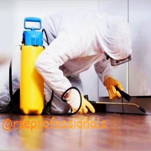 rXeProfessional's tweet photo. Finding cockroaches in your home or business can be very stressing.  Seek professional help to stop the spread of infestation. Our technicians are knowledgeable and are Cockroach Control Qualified so you can be sure the service you are getting is the best on the market... https://t.co/BXSQtnCmtx