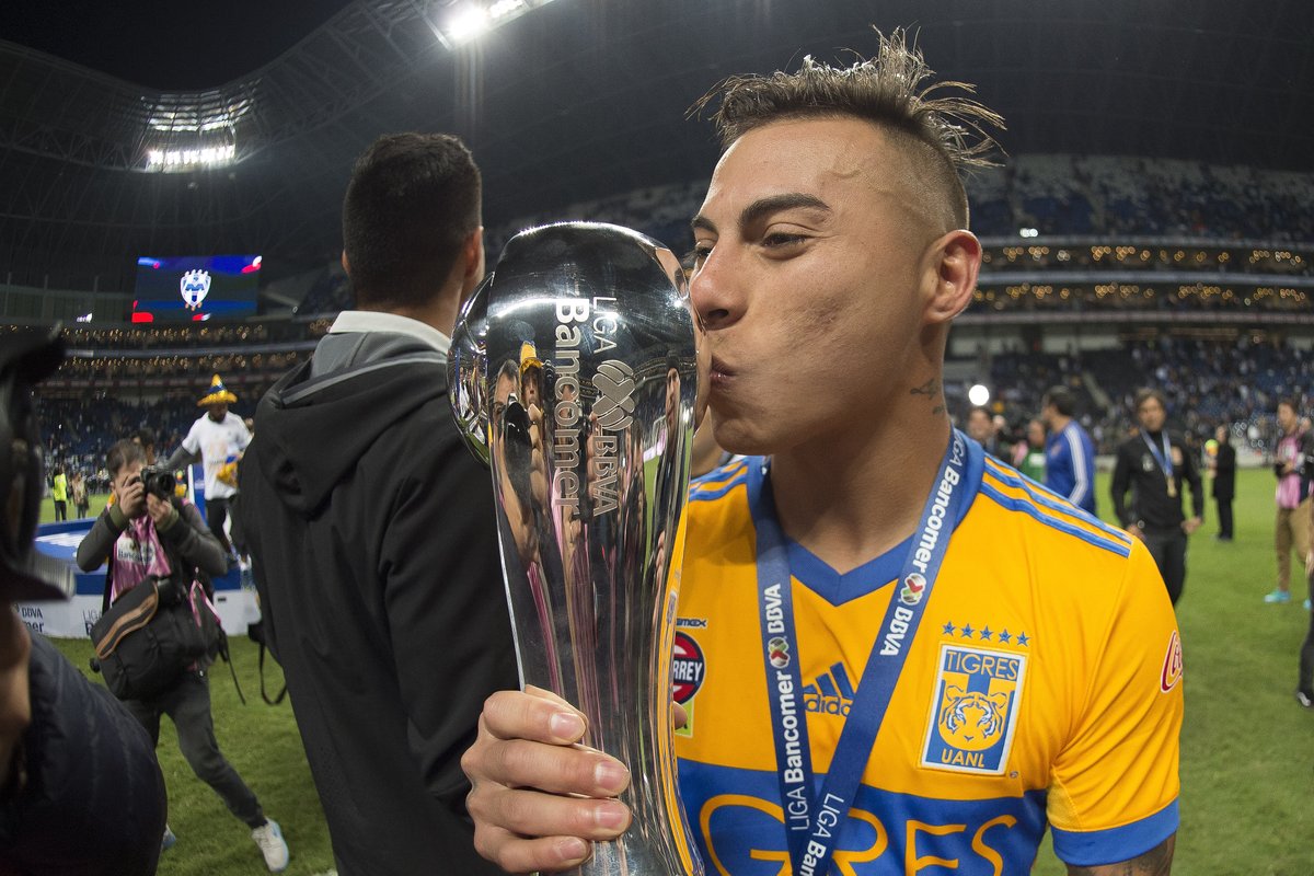 WillieGzz's tweet photo. Felices fiestas... ¡y feliz 10 de diciembre! 🐯🏆🌟

¡Súuubele al himno! 🎵🎶 https://t.co/TmLI9K2vAX