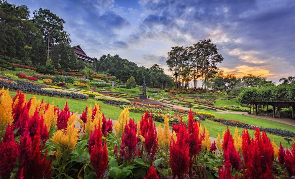 kapookdotcom's tweet photo. แนะนำสถานที่ท่องเที่ยวภาคเหนือ เที่ยวได้ตลอดทั้งปี บอกเลยว่าสวยและถูกใจ
https://t.co/k0cWaGe0Qw
#ท่องเที่ยวไทย #kapook https://t.co/DTVcgoKVEt