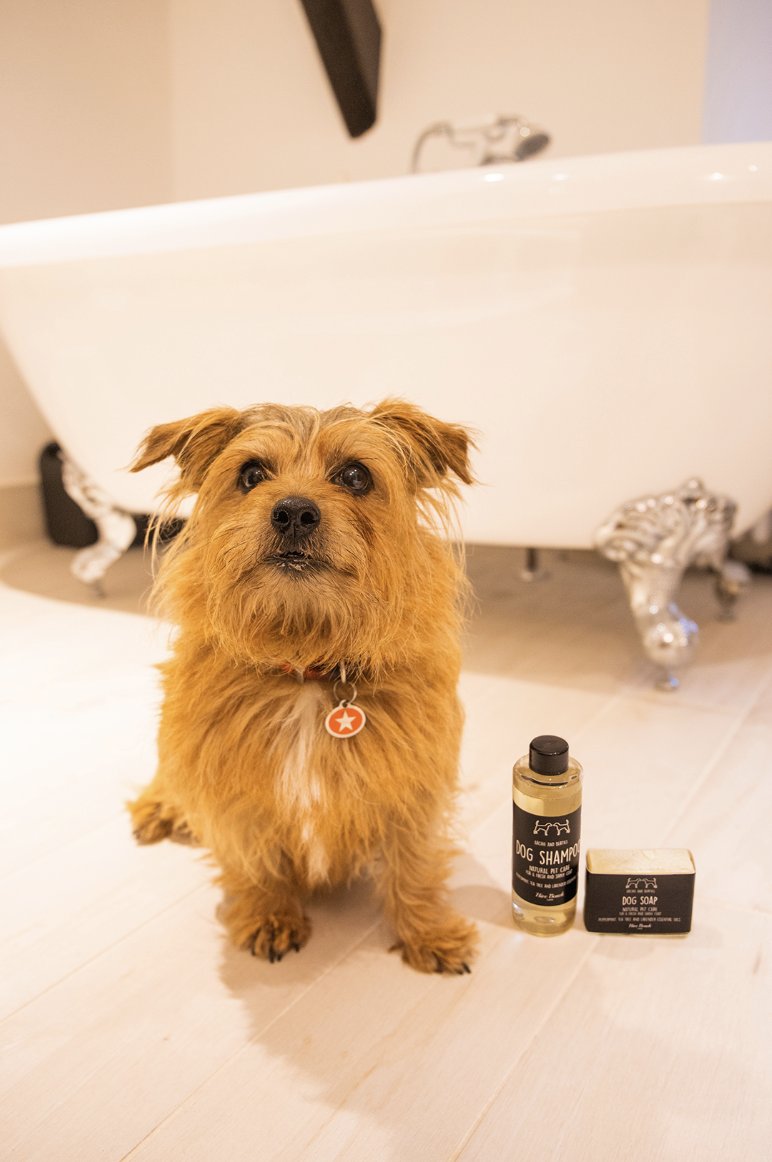 Day 10 of Christmas discounts! 🐾

This one’s for all the pooches out there, spoil them this festive season with 15% off all dog products… they’ll need it after those long winter walkies. 🎁

Code: DOG15

#christmasgift #discountcode #christmas #hivebeach #dorset