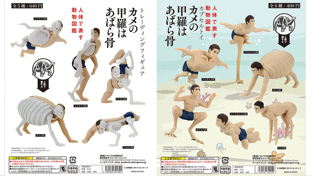 グッズ情報】 いよいよ！お待たせしました！ □トレーディング