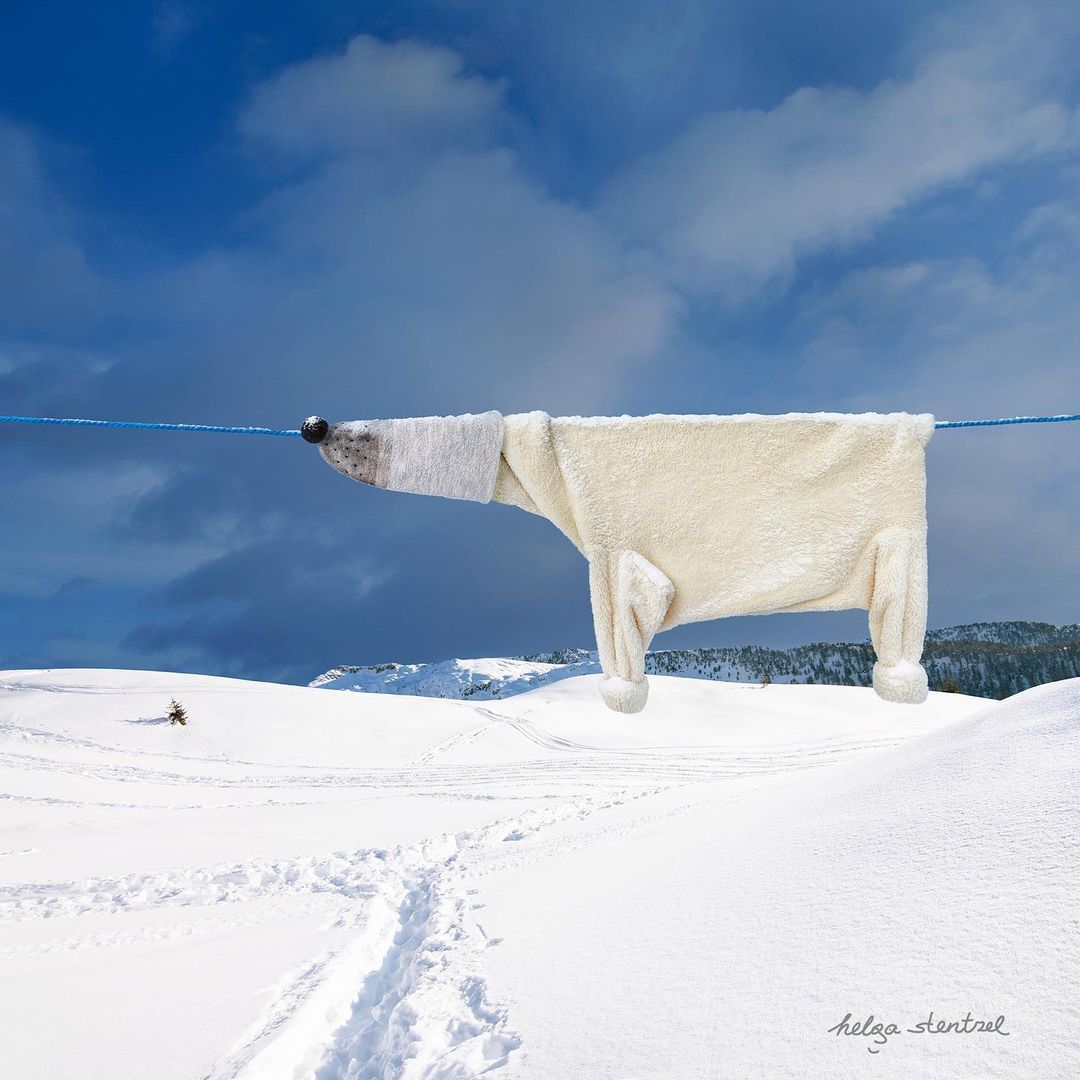 Artist Helga Stentzel created a polar bear in her clothesline animals series. Named 'Hang on', the work aims to raise awareness about climate change #WomensArt