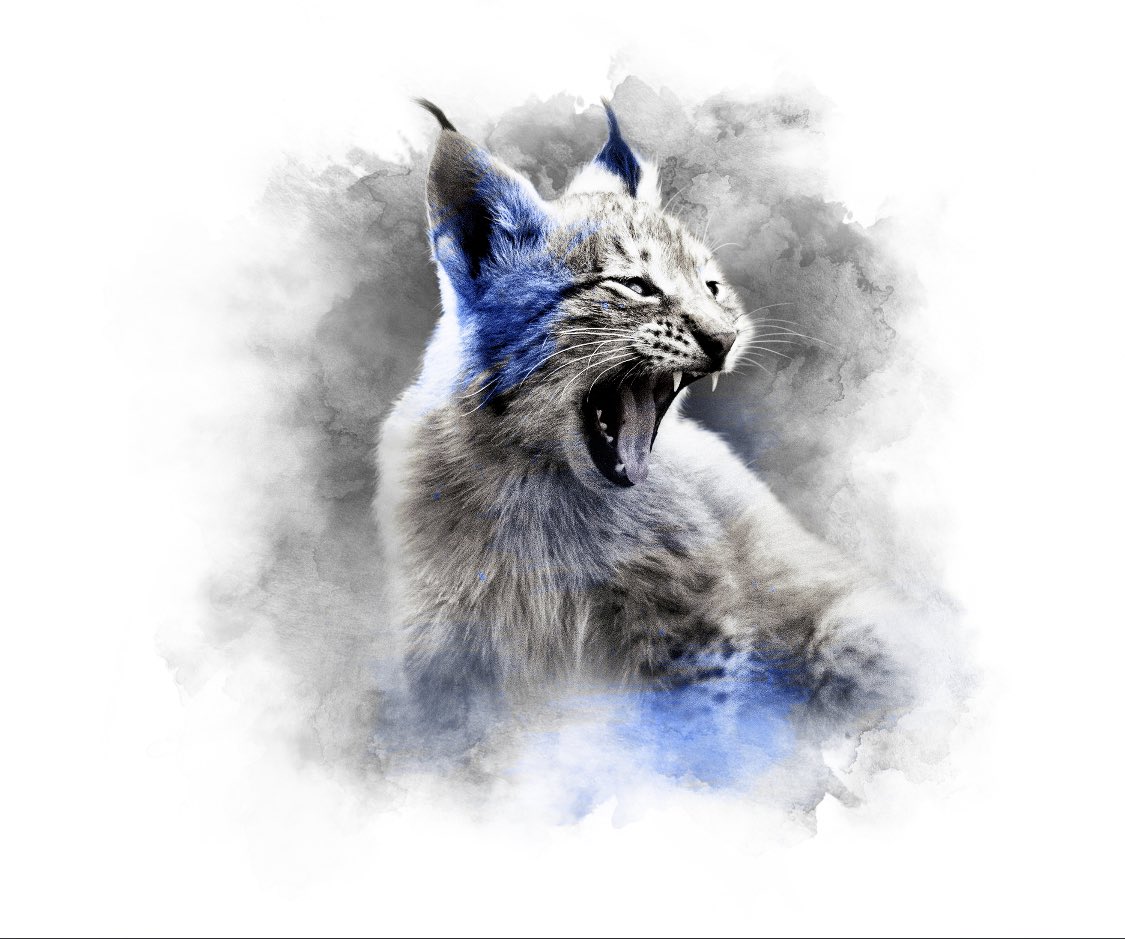 treelion21's tweet photo. @Aqomiart I’m worried I’m turning into a cat (kitten) person. My bullldog is not happy. @TreeSap0409 https://t.co/7Z7gfe3sUT