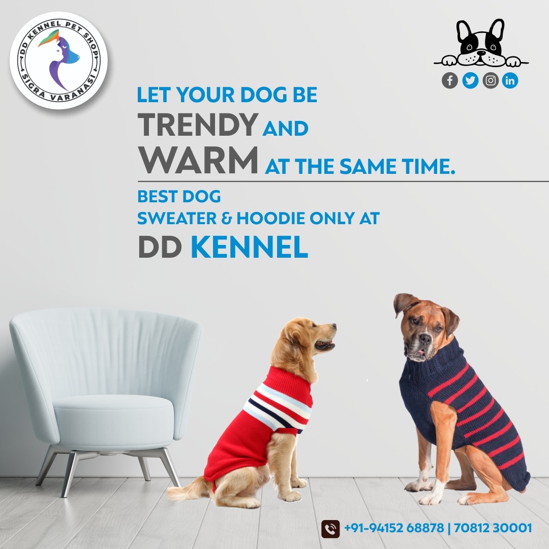 DD Kennel & Pet Shop (@pet_dd) / Posts / X