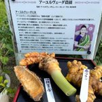 ツイートに含まれる画像