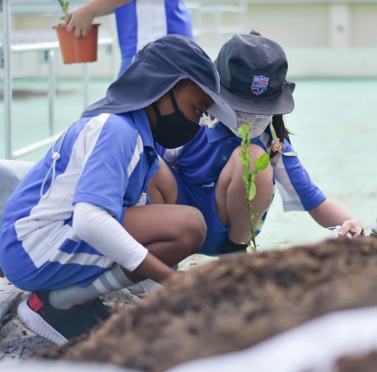 StAndrews_DUS's tweet photo. After thinking deeply about greenhouse gases and the delicate balances that sustain life on planet Earth, Yr 4 have taken steps to making a difference.
They have planted a range of small plants to help begin creating our school's roof garden.🌿🌱🌾

#HowDusitDoesIt #CognitaWay https://t.co/Iqr3c2rTQ2
