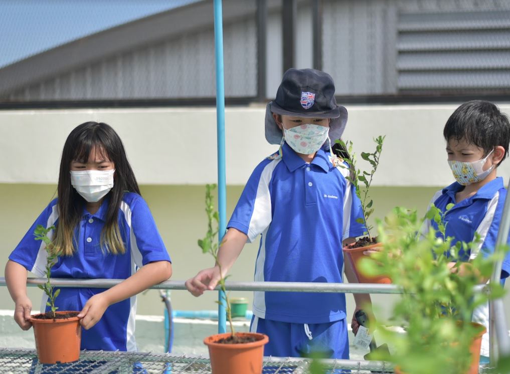 StAndrews_DUS's tweet photo. After thinking deeply about greenhouse gases and the delicate balances that sustain life on planet Earth, Yr 4 have taken steps to making a difference.
They have planted a range of small plants to help begin creating our school's roof garden.🌿🌱🌾

#HowDusitDoesIt #CognitaWay https://t.co/Iqr3c2rTQ2