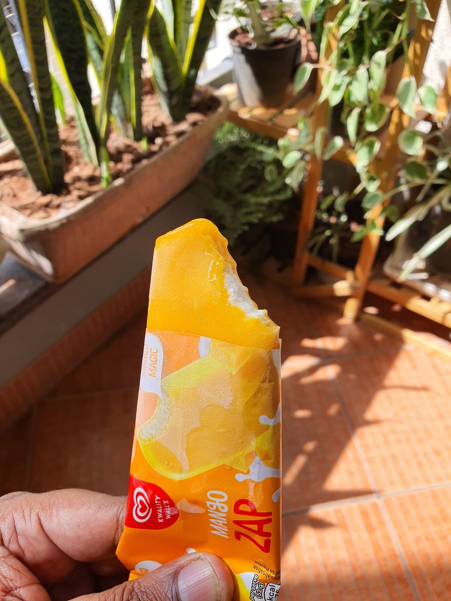 PawanSaysToo's tweet photo. Because a sunny winter morning demands #IcecreamTwitter https://t.co/c6GFyvKaNm