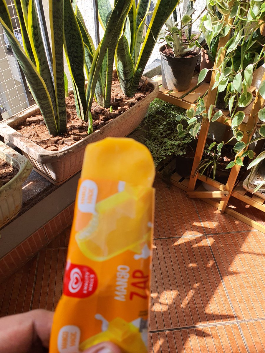 PawanSaysToo's tweet photo. Because a sunny winter morning demands #IcecreamTwitter https://t.co/c6GFyvKaNm
