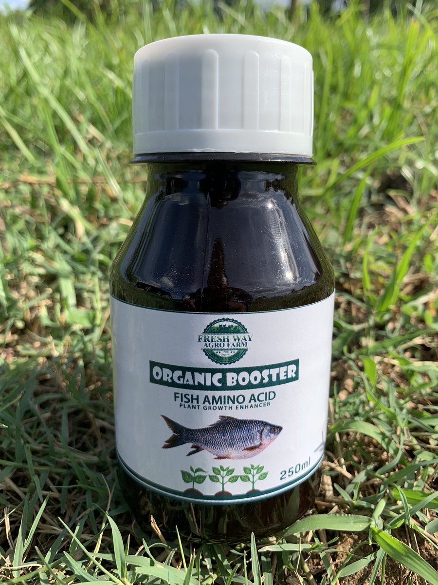 FreshWayAgro's tweet photo. We are glad to introduce our first Organic Fertilizer, to our customers produced in our farm. 

Fish amino acid is a liquid made from fish. It is of great value to plants and microorganisms in their growth because it contains and abundance of nutrients and various amino acids. https://t.co/gnAr4BKvdi