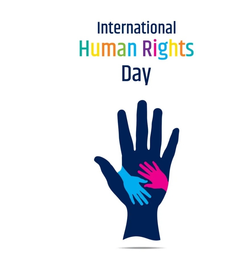 Human rights drawings Pinterest
