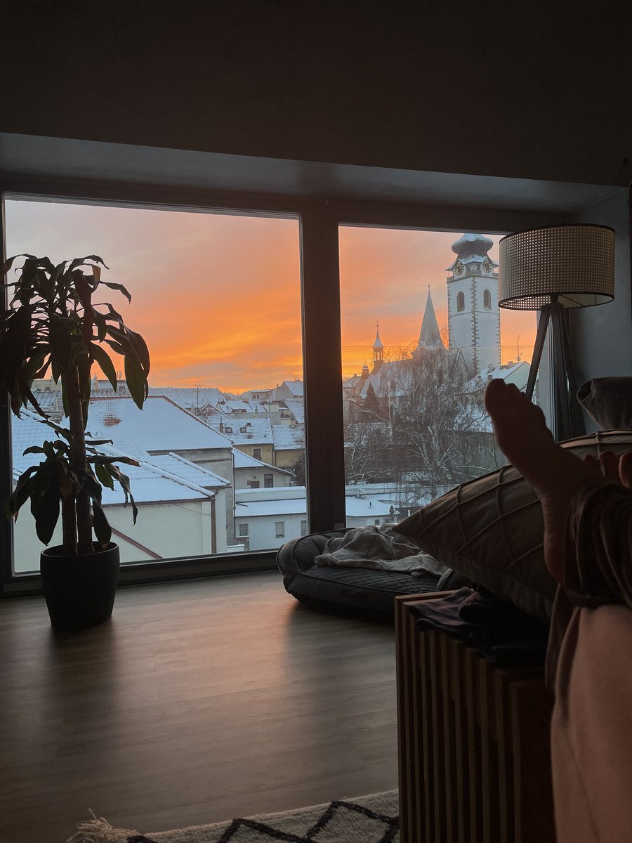 🕸 Lucie Konečná tweet media