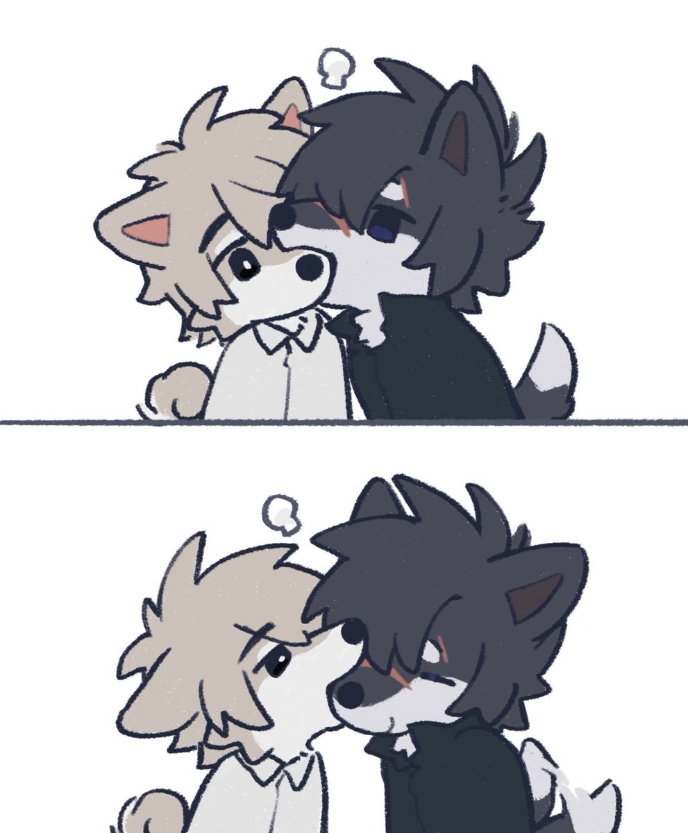 Xchu081's tweet photo. 啃啃 https://t.co/ozY30MtM66
