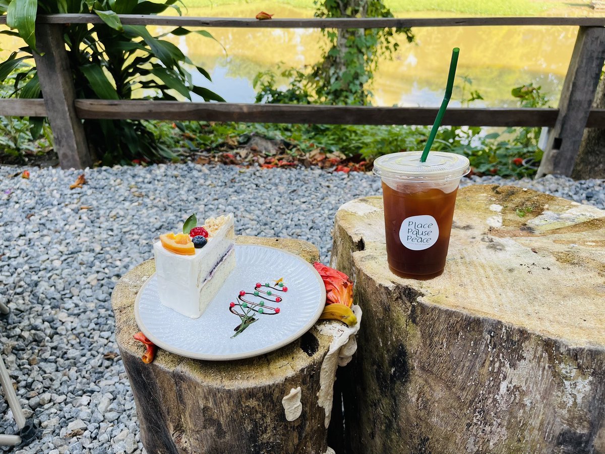 PerngJaii's tweet photo. ตามคุณ @gin100b มา 📍#PlacePausePeace เป็นตามชื่อร้านเลยครับ🤩แต่งจานเค๊ก #LemonPoppy มาเข้ากับเพลงคริสมาสต์ที่เปิดมาก เมล็ดคั่วอ่อนจาก #KateKim มีอาหารขายด้วย แล้วมีเมล็ดพิเศษ Drip ละ 100 อีก ที่นั่งเยอะหลายสไตล์ แคมปปิ้งก็มีอะ ชอบมาก👍@gin100b @reviewchiangmai @cafe_chiangmai https://t.co/tZfe3I3TJf