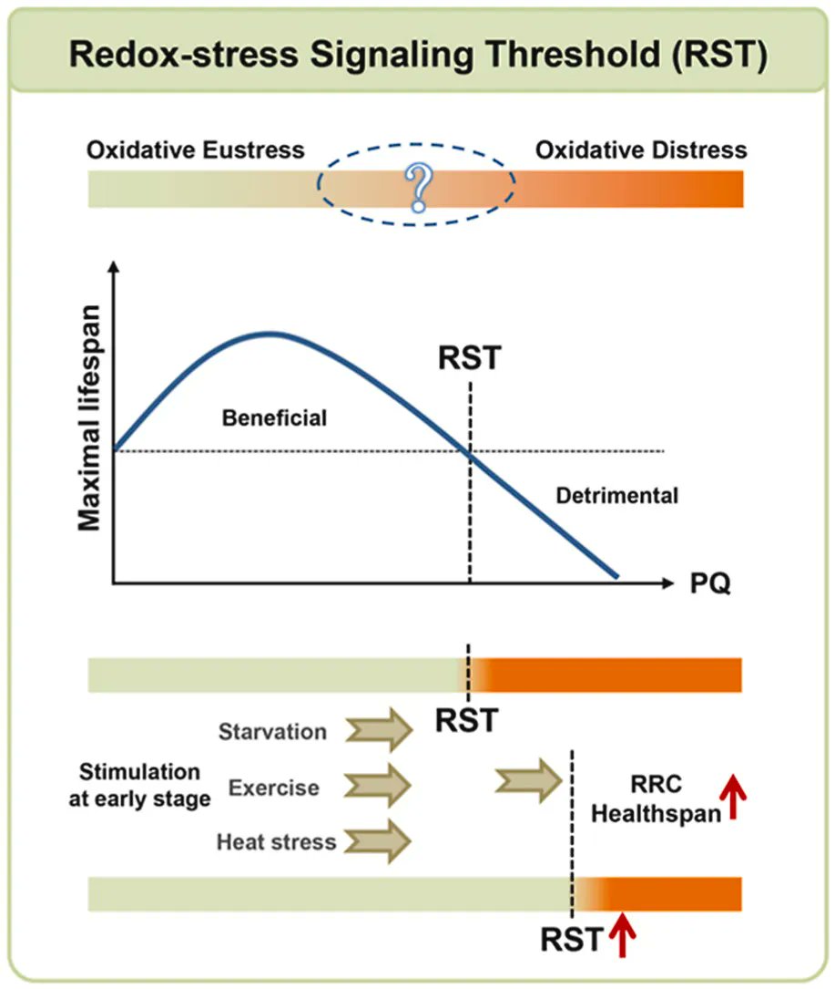 Prof_M_Ristow's tweet photo. The #ROS generator paraquat affects #Celegans #lifespan in a dose-dependent manner: low doses promote #longevity, whereas higher doses increase #mortality. #mitohormesis https://t.co/3R9wJTTVVX https://t.co/1Mu6DgYyoY