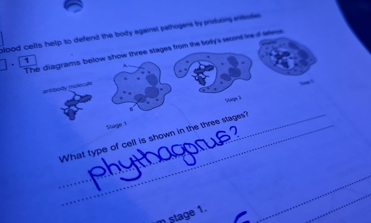 Ms McIntosh 👩🏽‍🎓⚛🧬🦠🔬 tweet media