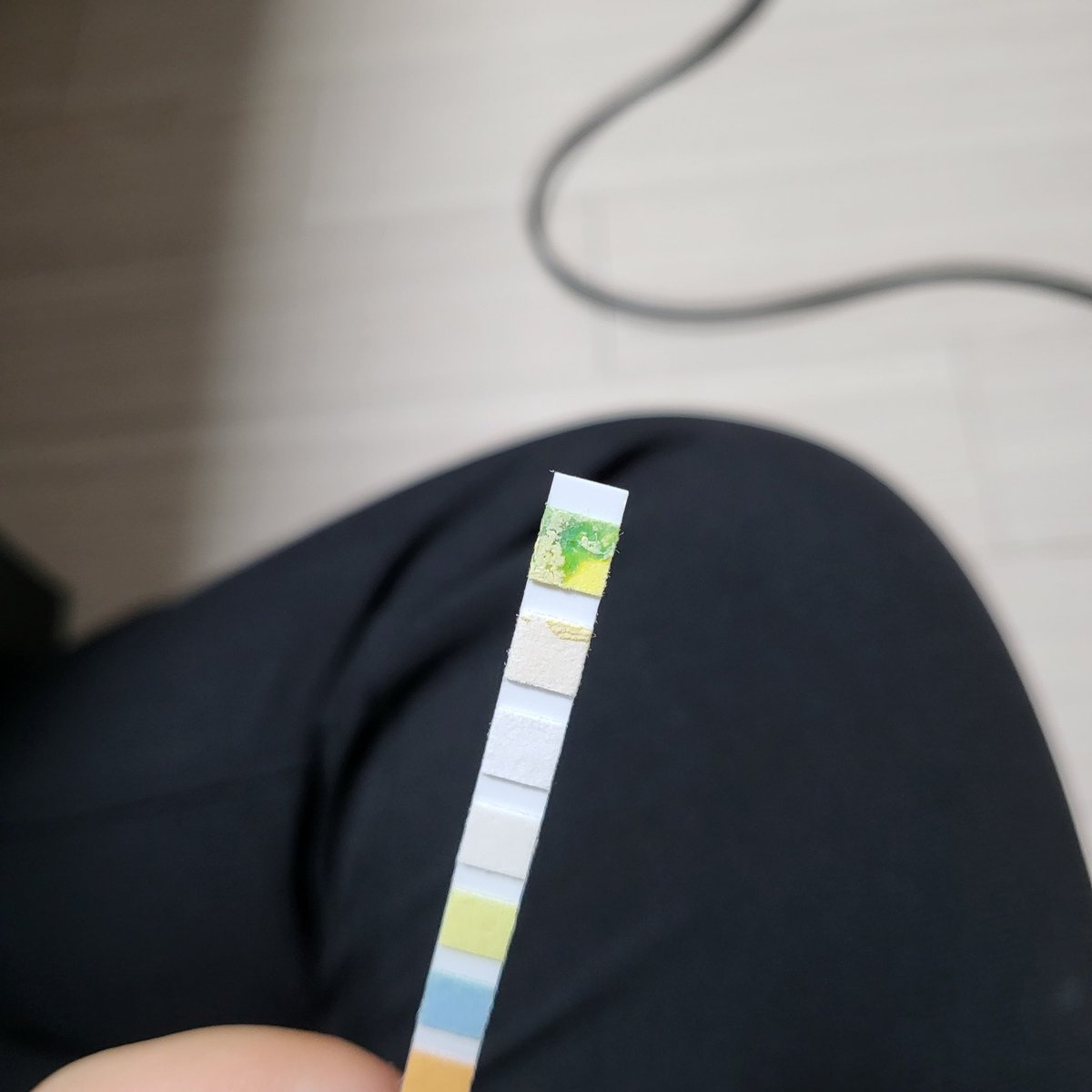 보내주신 검사지로 잠혈 검출여부 검사했습니다...!
쩜쩜쩜 모양이 아닌 바로 초록색으로 바뀌네요..
잠혈이 있는 것 같은데, 어떻게 예방하고 치료해야할지 알아봐야겠네요😭😭 이번 기회에 애기들 건강 상태 알아갑니다... ㅜㅜ 정기검진의 필요성이 느껴지네요..