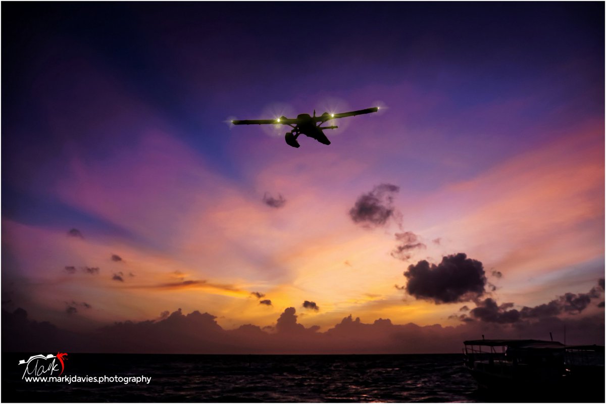 Mark J Davies Photography tweet media