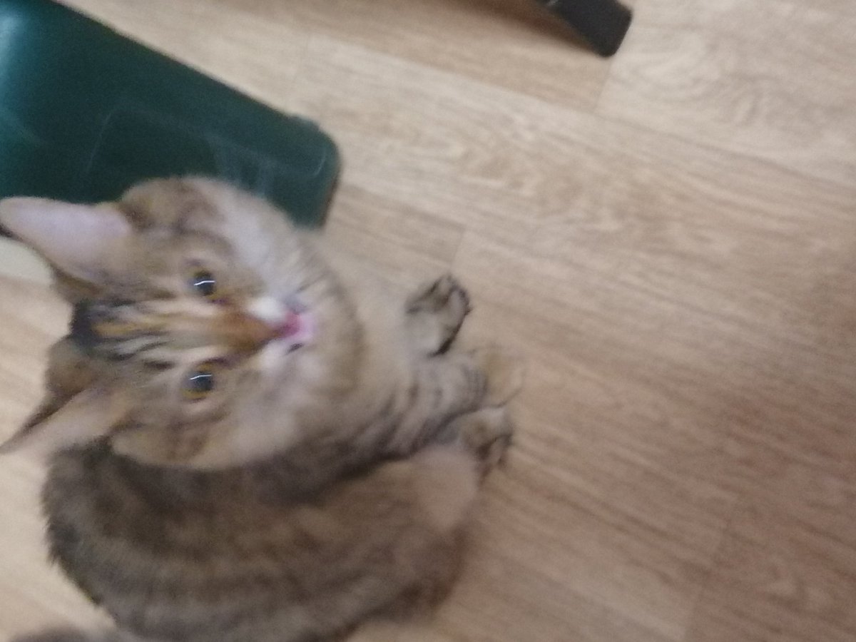 Угадайте кому пришёл косплей за день до феста:_)
Сегодня побегу на почту забирать и быстро готовиться, копец
