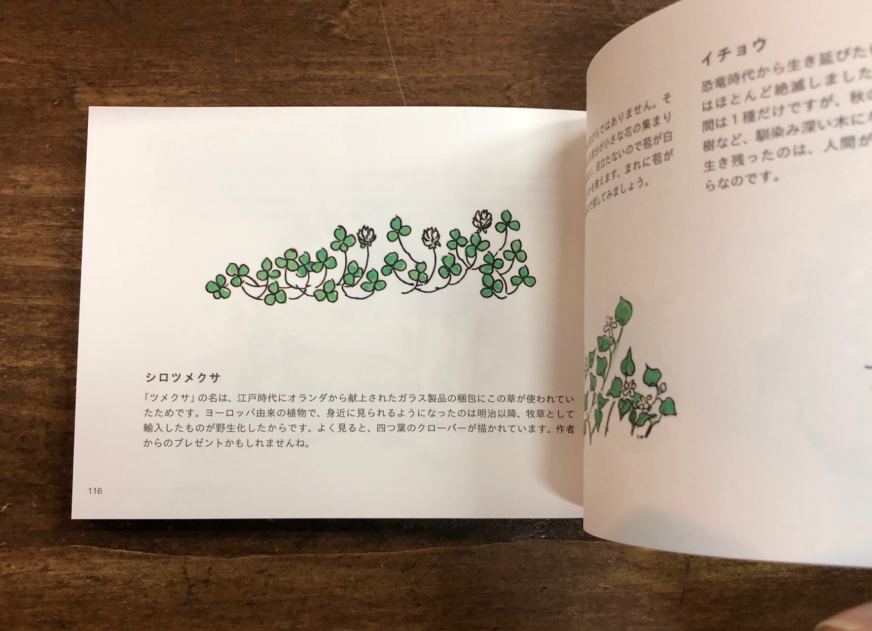 Title タイトル 絵本を 読む とはこういうことをいうのだろう ぐりとぐらの世界を 料理 器 雑貨 草花 などの観点から詳細にみると 洗練された趣味 でも地に足のついた生活ぶりが浮かび上がってくる 繰り返し読みたくなる本は 細部にも