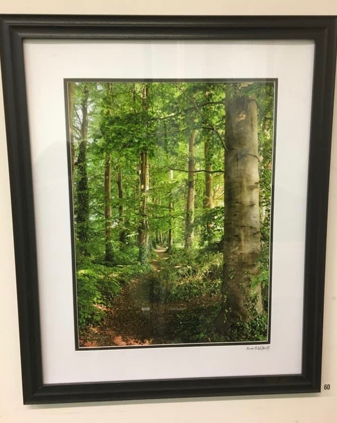 WiltsAreaBoard's tweet photo. Pop into #SalisburyLibrary to see all the beautiful pictures and art from #PlainArts and their Christmas Fayre launches tomorrow 🎁🎁🎁 https://t.co/zPKTnZTkmi