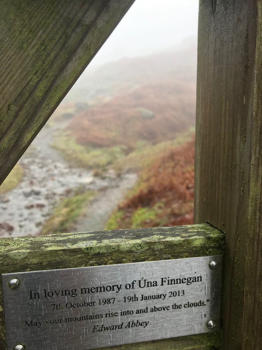 “Why go outside, when the weather looks so miserable?”

🧵 
1/10