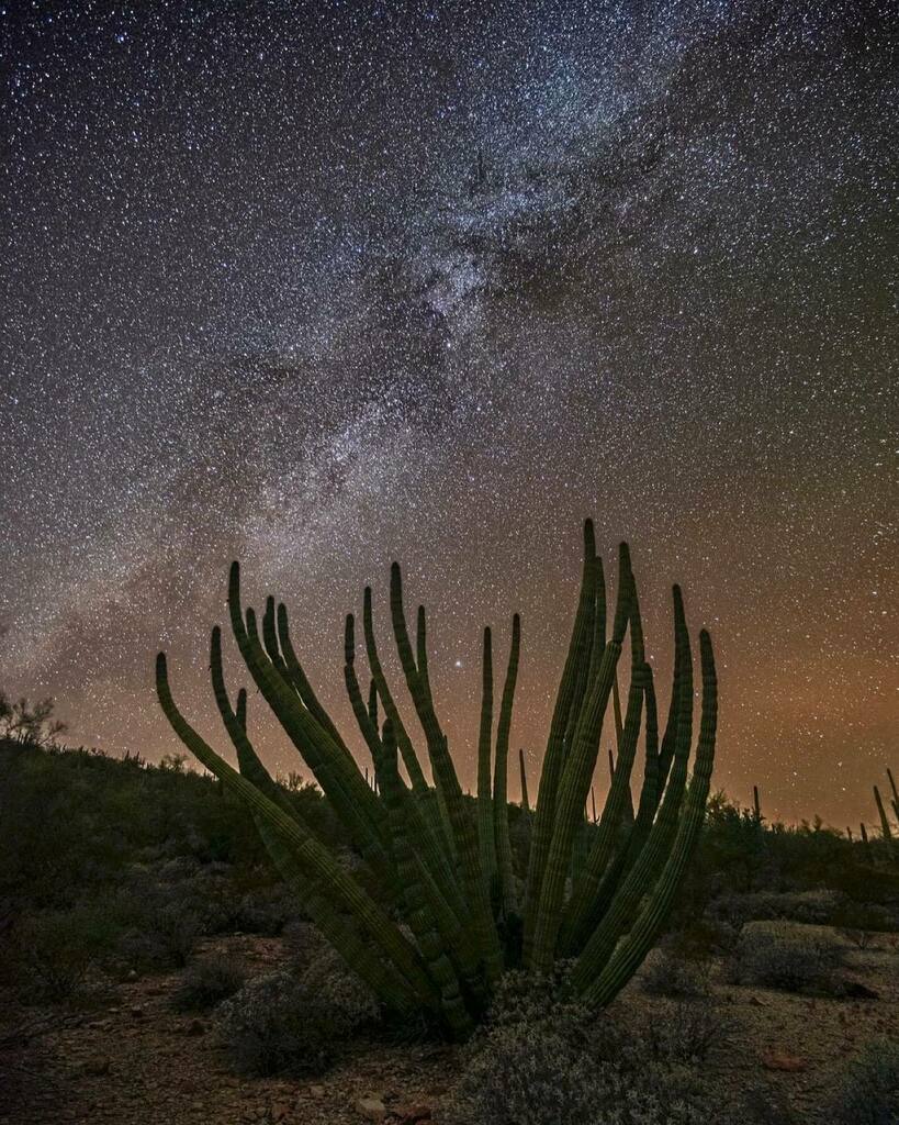 National Park Geek® tweet media