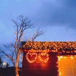 ツイートに含まれる画像