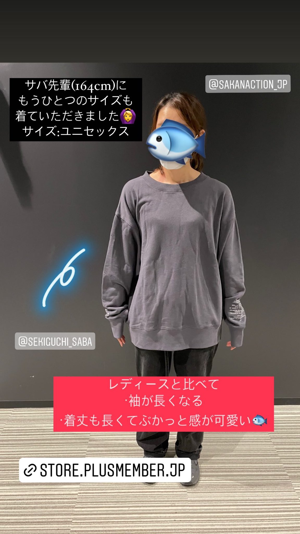 が大特価！ ポチ🐶pochiluの看板犬🐾 on  X: トップス