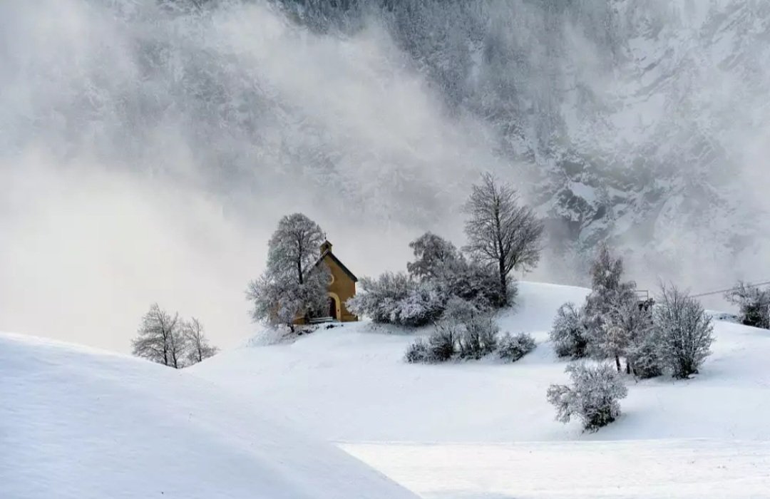FloreMMiranda's tweet photo. “J’ai décidé d’être heureux parce que c’est bon pour la santé.” 

-Voltaire

Bonne journéeeeeeeee les zzzamiiiiis !! https://t.co/IwSVMRiSiC