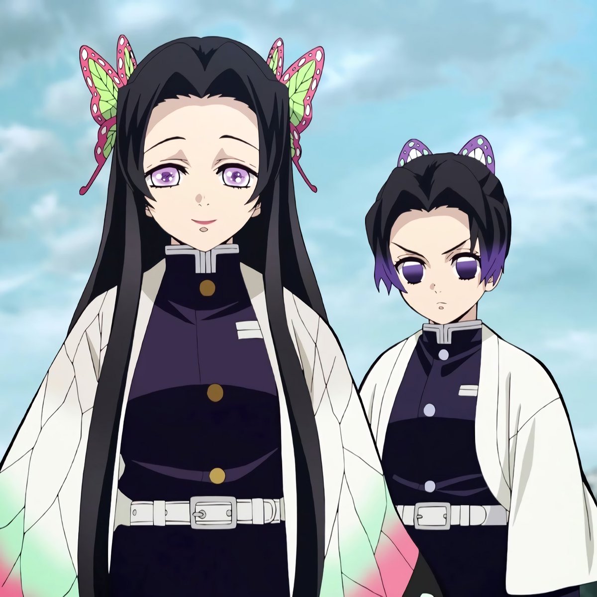 dailykochou tweet picture