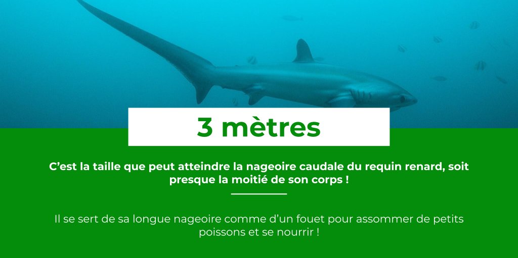 Bioxegy tweet media