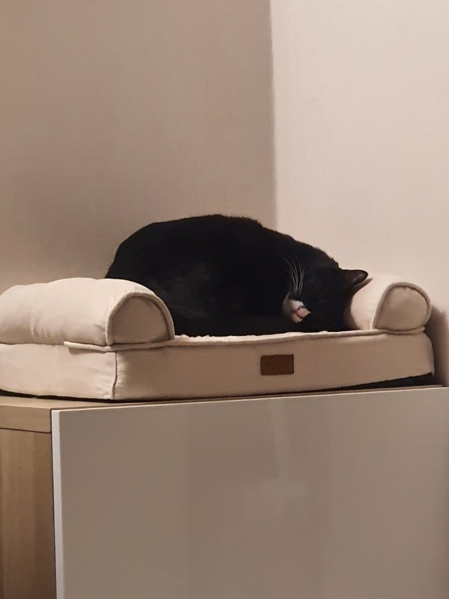 같은 쇼파 다른느낌....