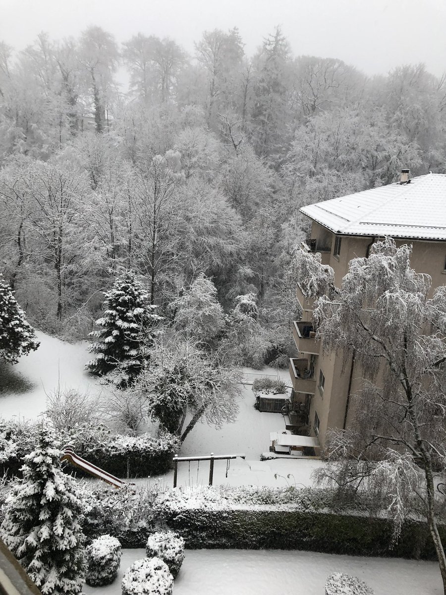 LauraViader88's tweet image. Hiver