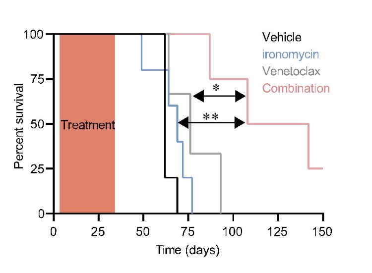 sylvain garciaz (@garciazsylvain) on Twitter photo Targeting mitochondrial iron kills aml cells and synergies with Venetoclax! Saturday 11, 2:30 PM, oral session 802. ash.confex.com/ash/2021/webpr… Targeting mitochondrial iron kills aml cells and synergies with Venetoclax! Saturday 11, 2:30 PM, oral session 802. ash.confex.com/ash/2021/webpr…
