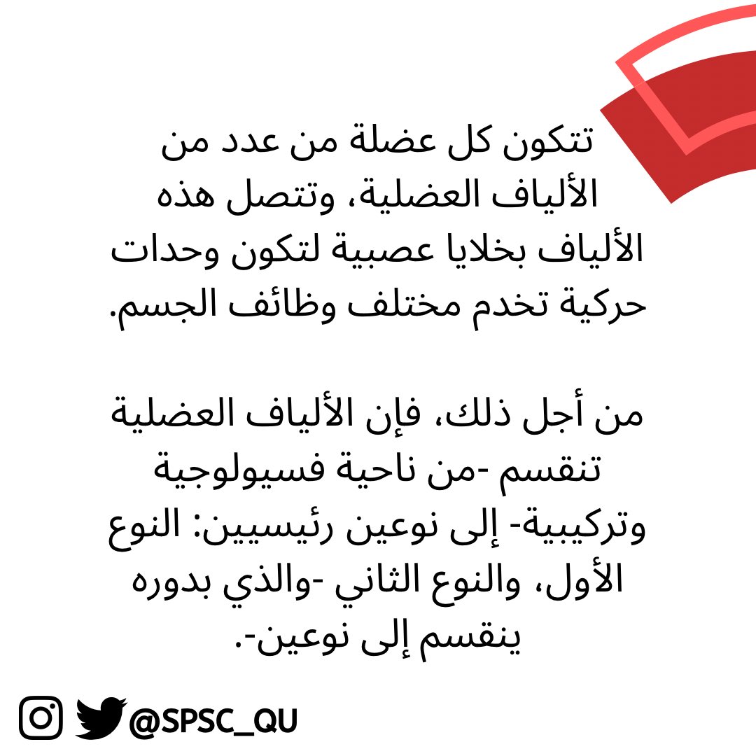Sport Science Club tweet media