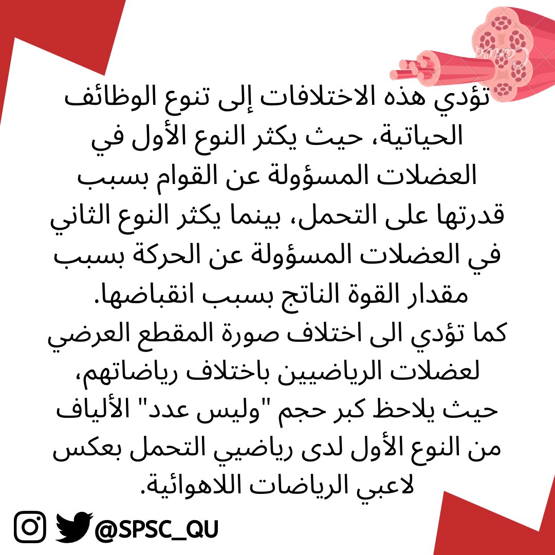 Sport Science Club tweet media