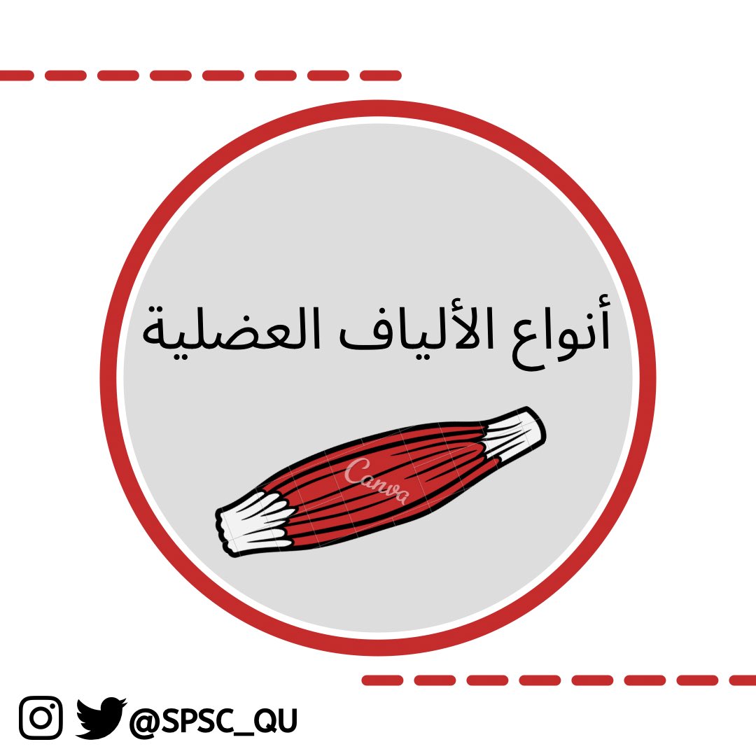 Sport Science Club tweet media