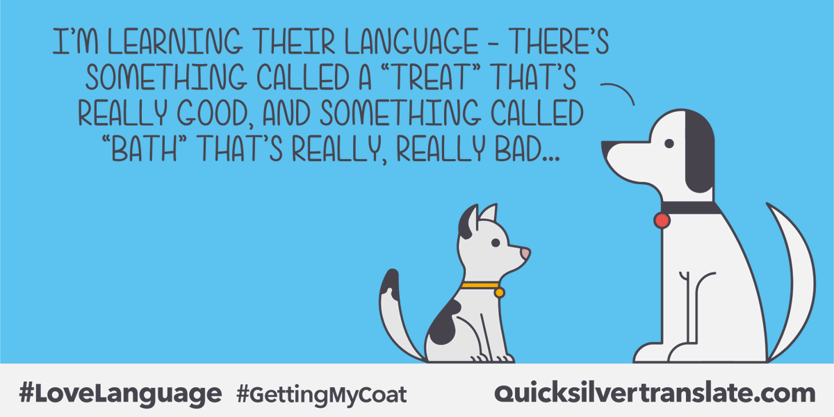 Quick_Translate's tweet photo. Have a great weekend, and learn some new words if you can!
#TGIF #LanguageJoke #LoveLanguage https://t.co/9jsjBzKo7f