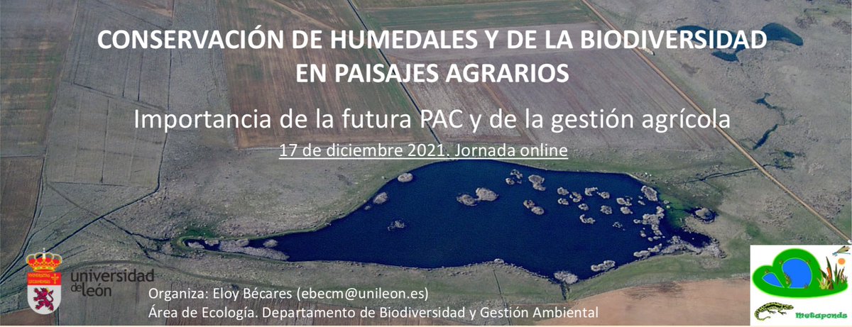 batracofistro's tweet photo. Coming soon #amphibians #metaponds #amph_connect #batracogrupo https://t.co/NspuqaOeUS
