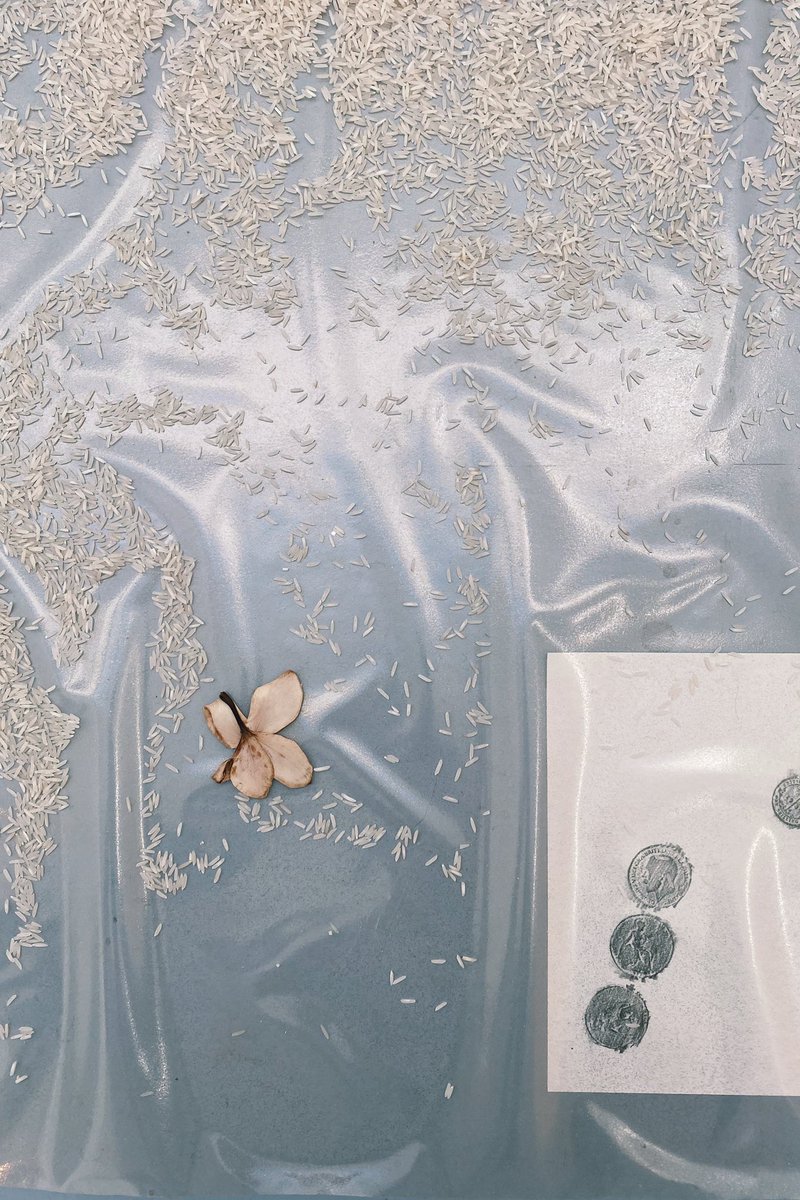 Eoin Dara tweet media